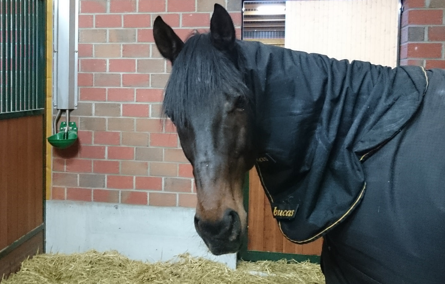 Rohrventil Tränkebecken Modell 12P