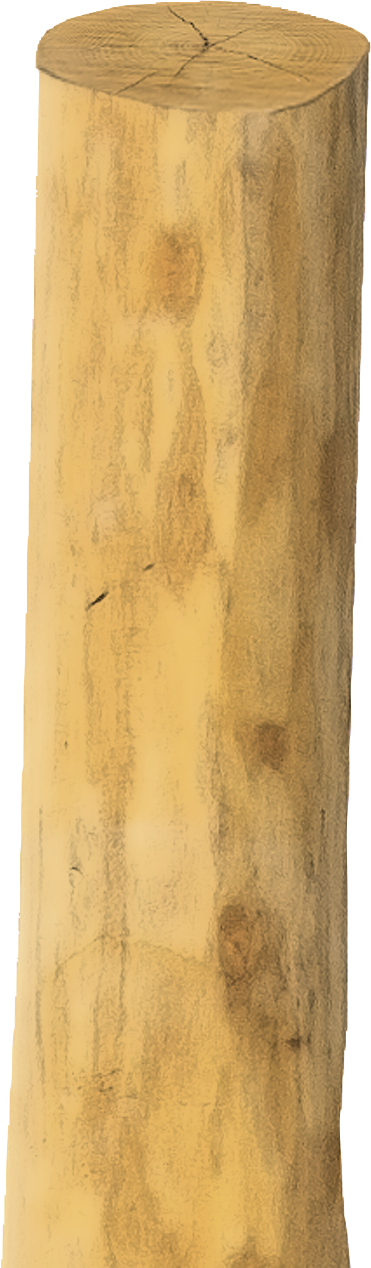 Robinienpfahl, rund, Ø 14 - 16 cm