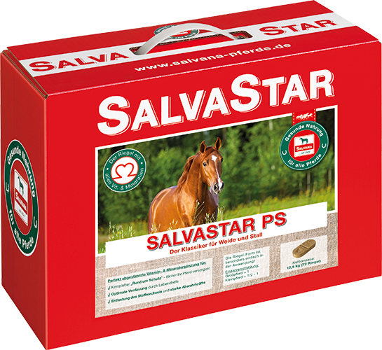 Salvana Salvastar PS-Brikett