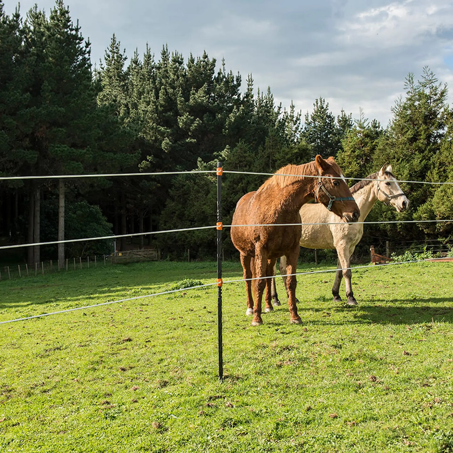 Weidezaunpfahl LinePost - anfahrbar und selbstisolierend