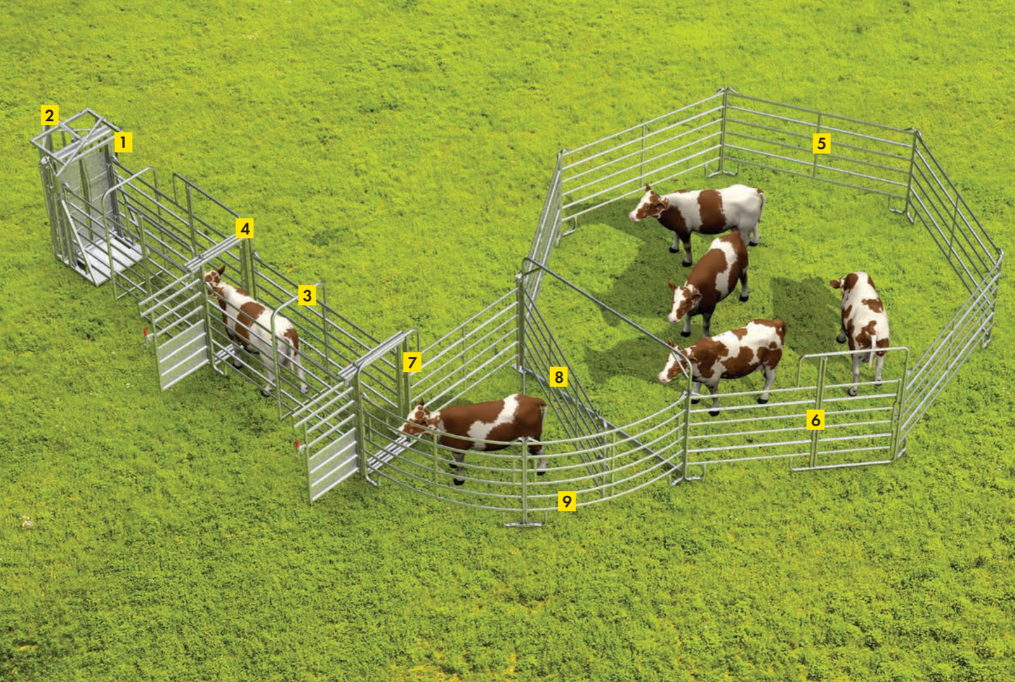 Behandlungsanlage für kleinere Tierbestände - Komplettset