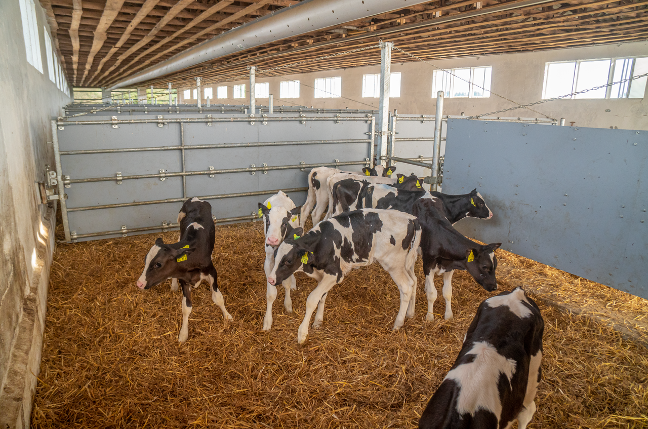 Abtrennung leicht - geschlossen