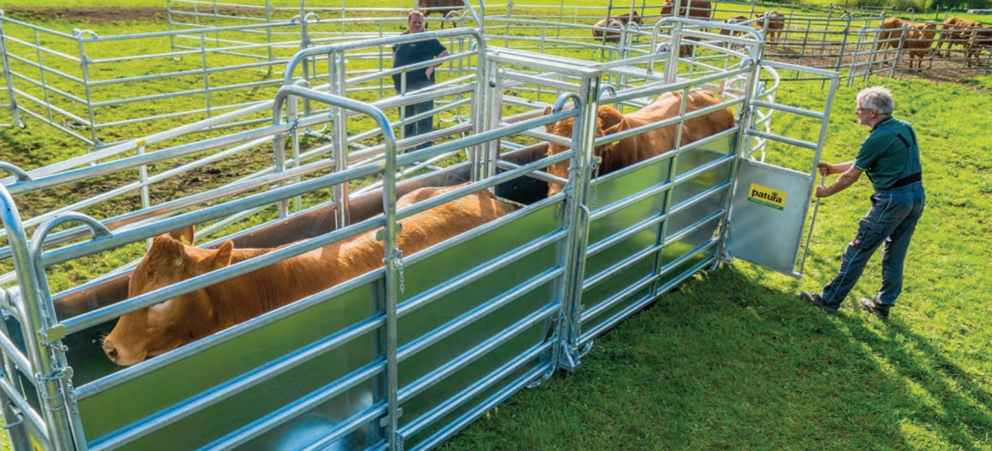 Professionelle Behandlungsanlage für mittlere bis große Tierbestände - Komplettset