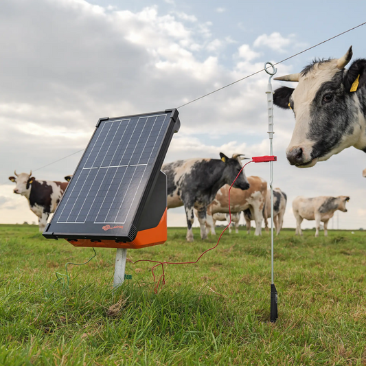 Welches Weidezaungerät ist das Richtige? - Der große Kaufberater für 12V, 230V oder Solar Weidezaungeräte