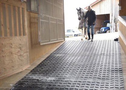 Belmondo Boxenmatte Step