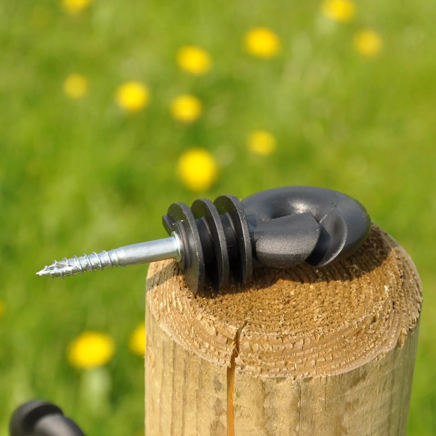 Ringisolator Standard