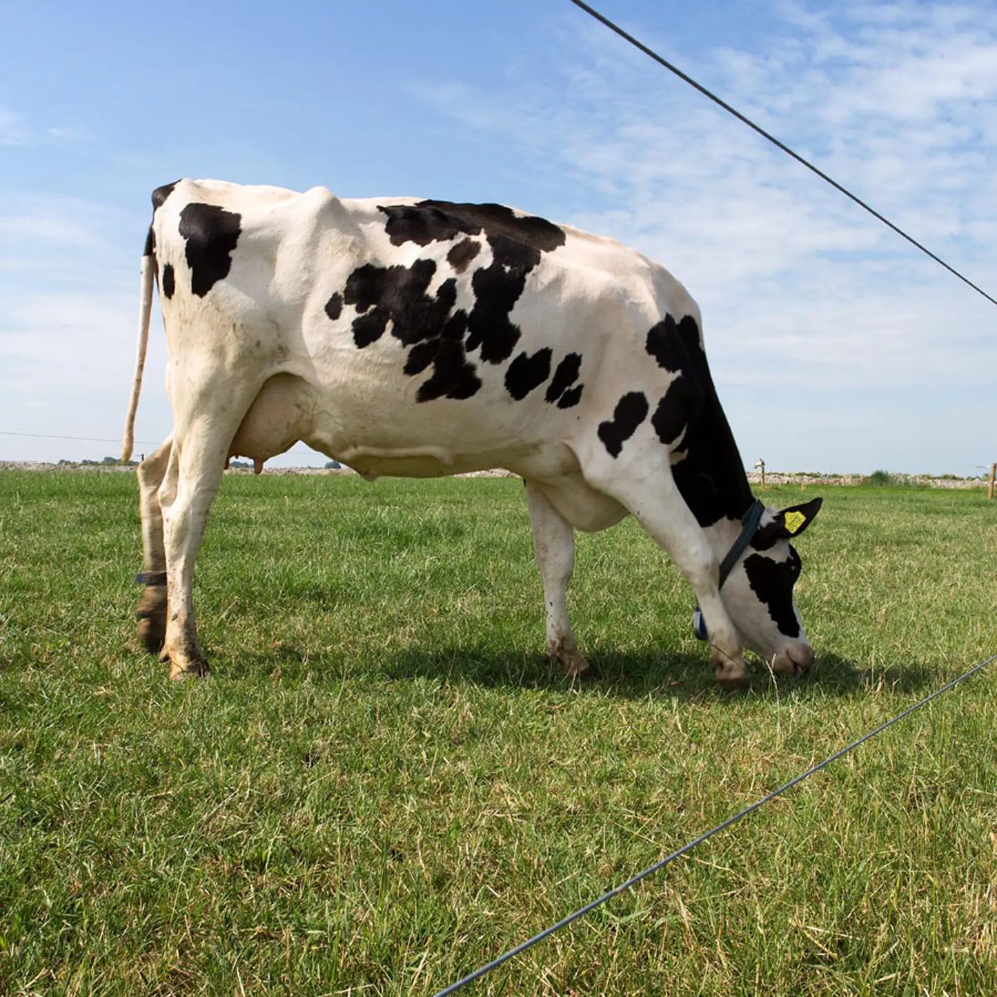 Spezial Stahldraht - 1580 m