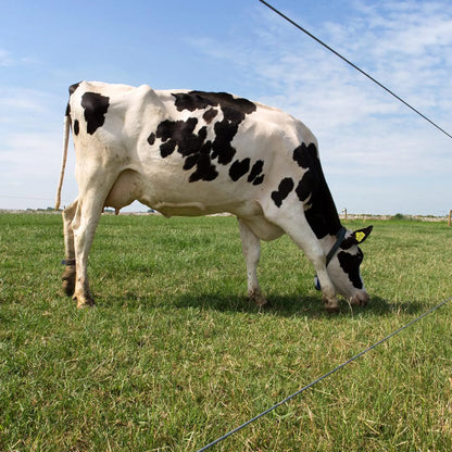 Spezial Stahldraht - 1580 m