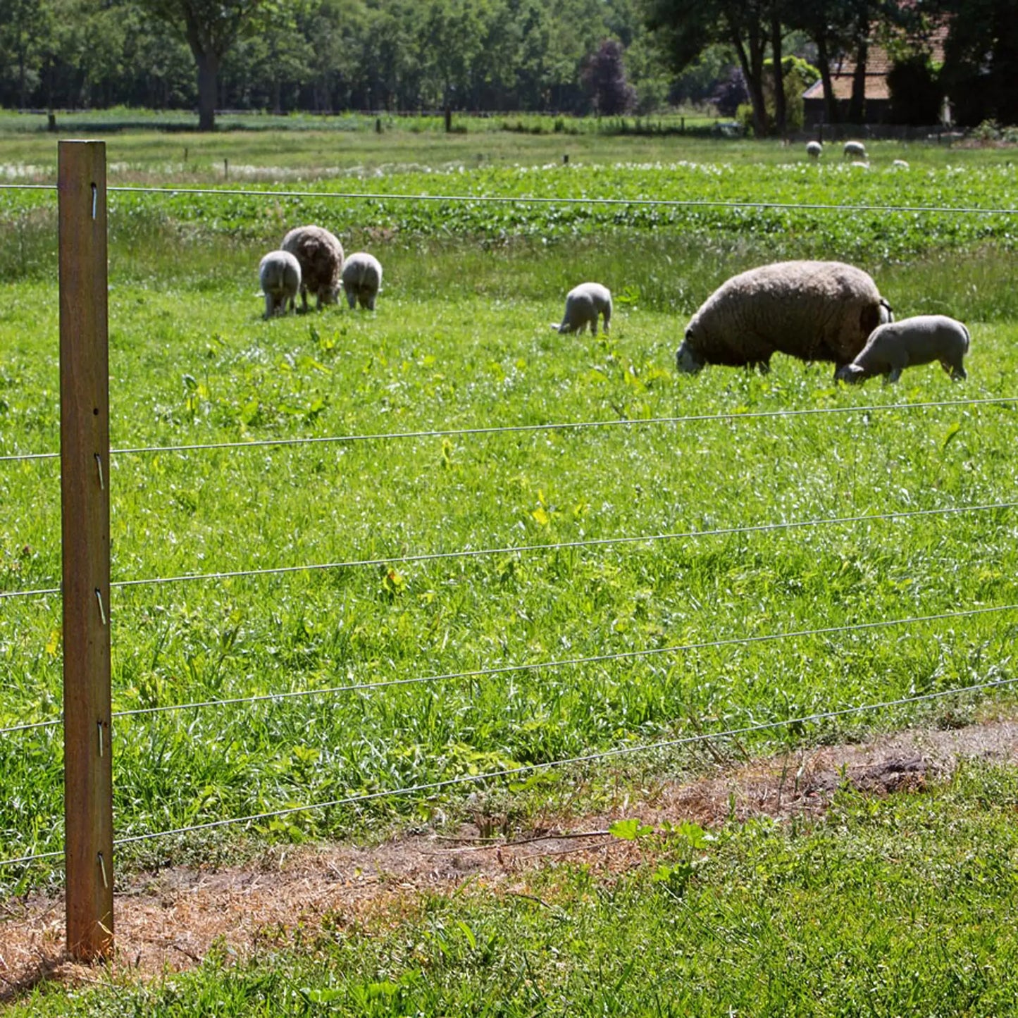 Spezial Stahldraht - 315 m