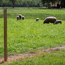 Spezial Stahldraht - 315 m