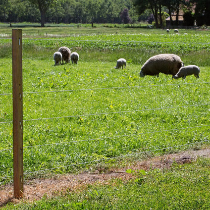 Spezial Stahldraht - 315 m