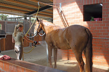 Pferdeabspritzdusche "Variabel"