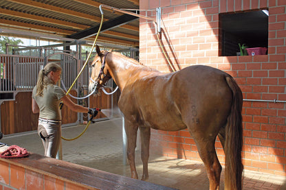 Pferdeabspritzdusche "Variabel"