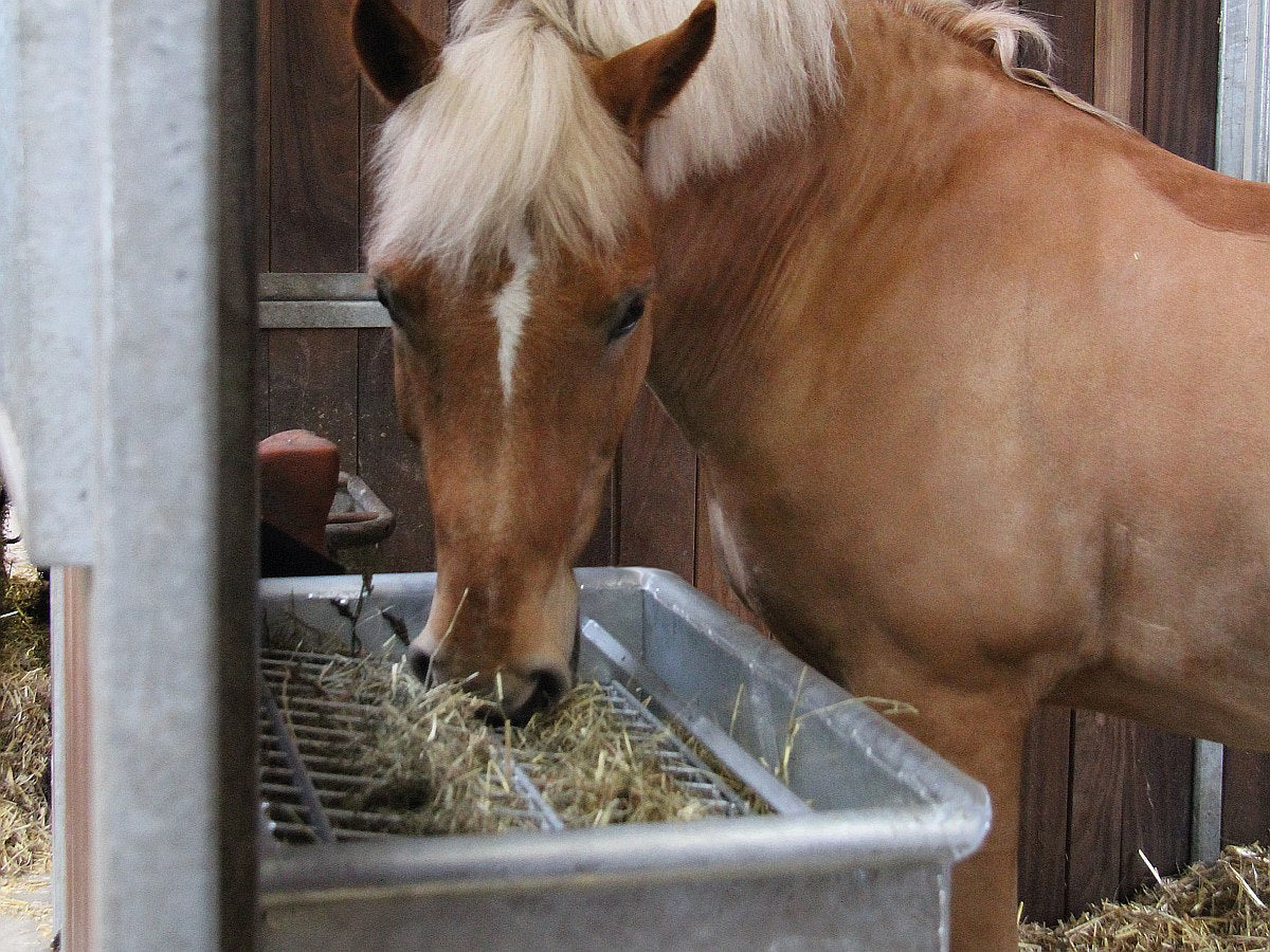 Raufutterraufe, feuerverzinkt