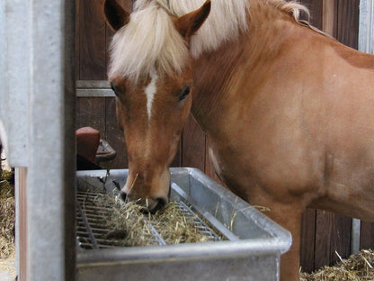 Raufutterraufe, feuerverzinkt