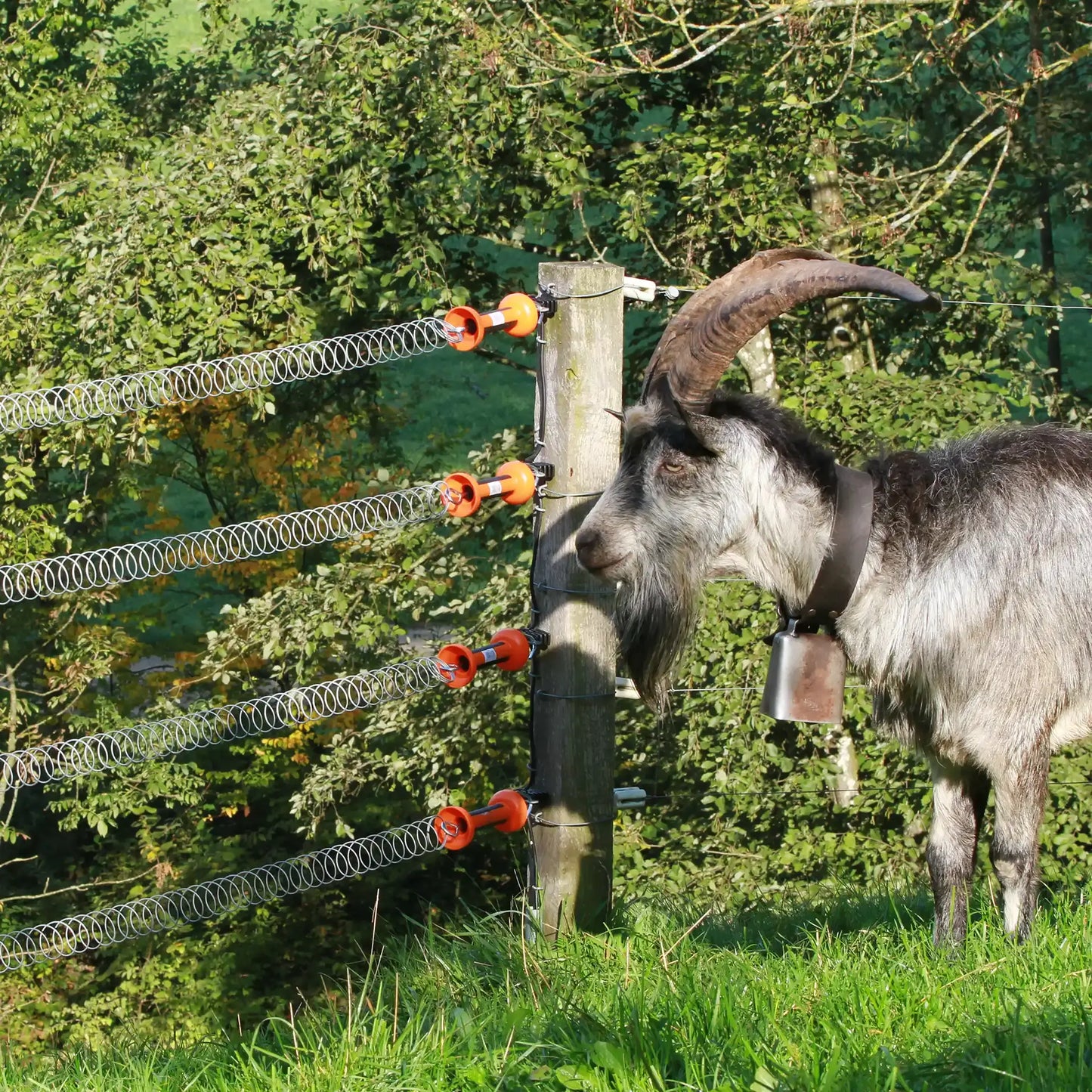 Spannfeder-Torset 5 m