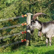 Spannfeder-Torset 5 m