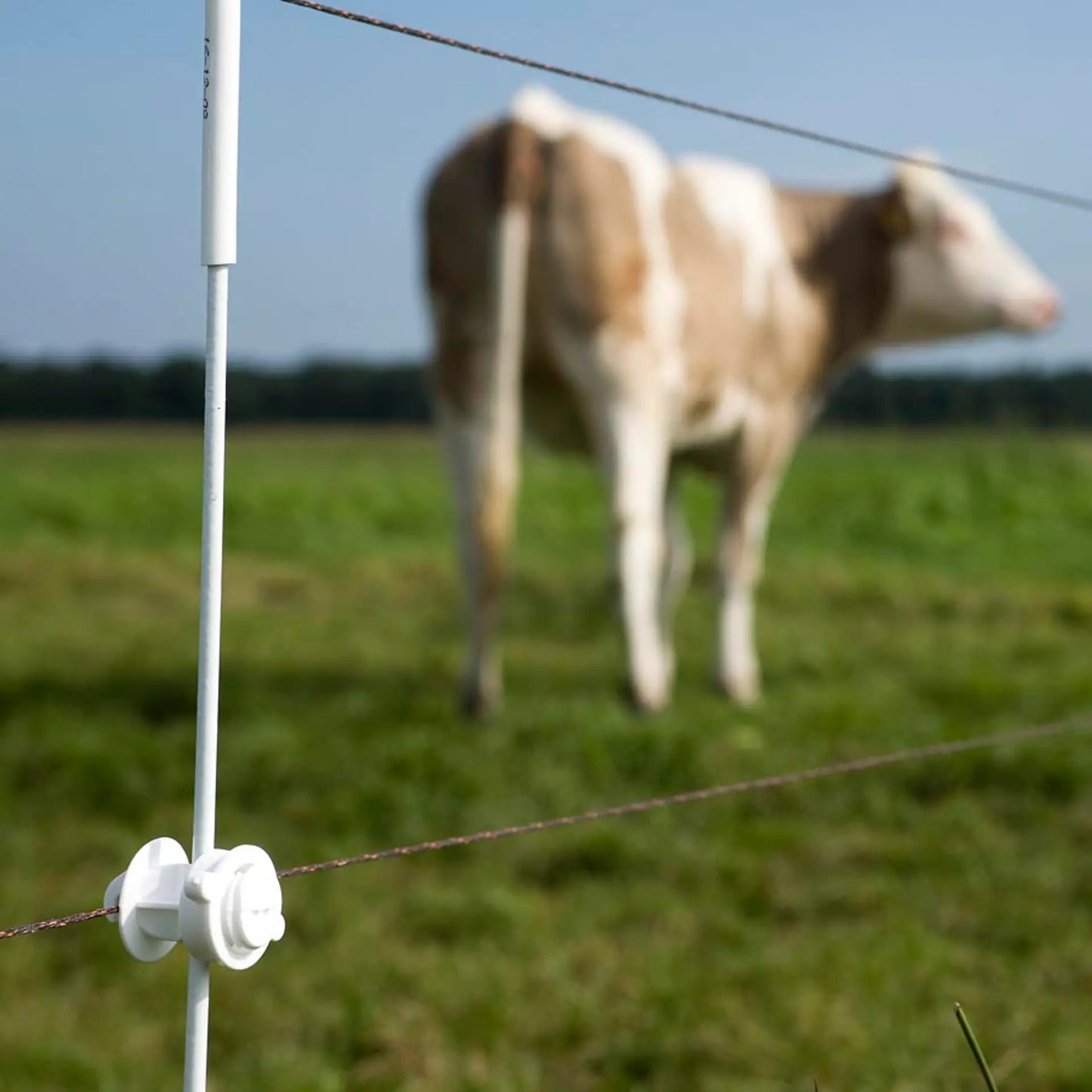 Universal-Schraubisolator Für ø6 bis 14mm pfahl 10 Stück