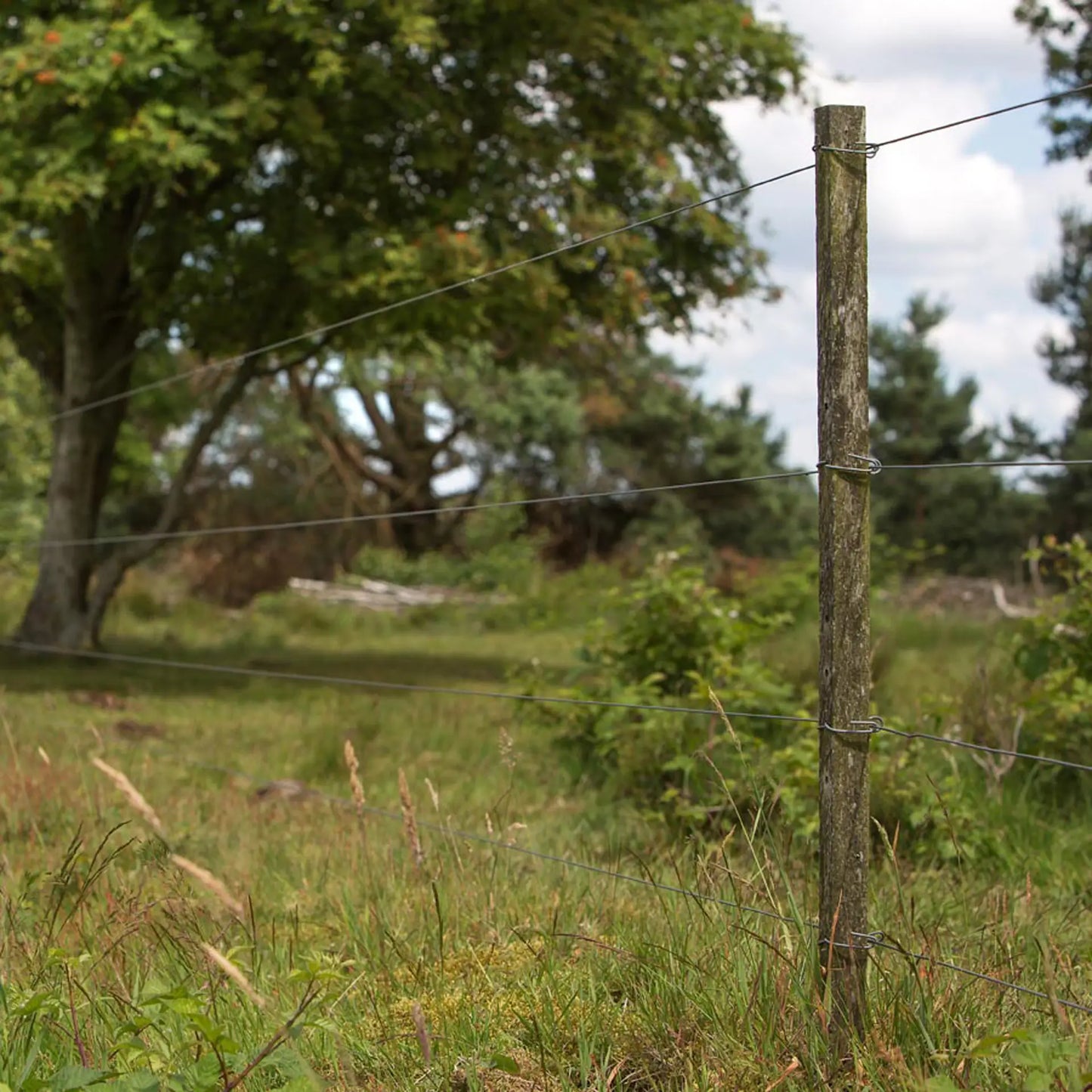 Befestigungs-Splinte Lang für Insultimber/Ecopfahl
