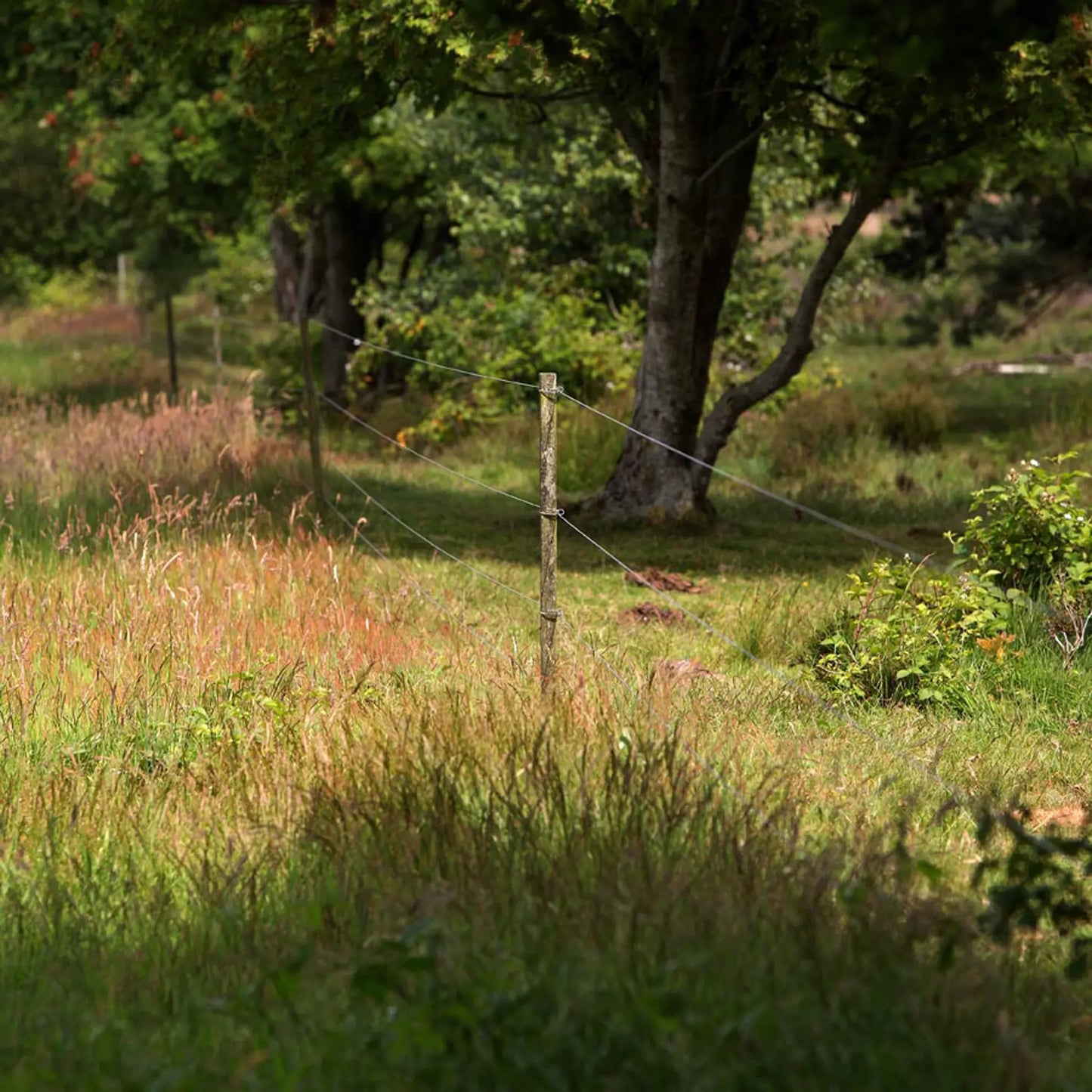 Befestigungs-Splinte Lang für Insultimber/Ecopfahl