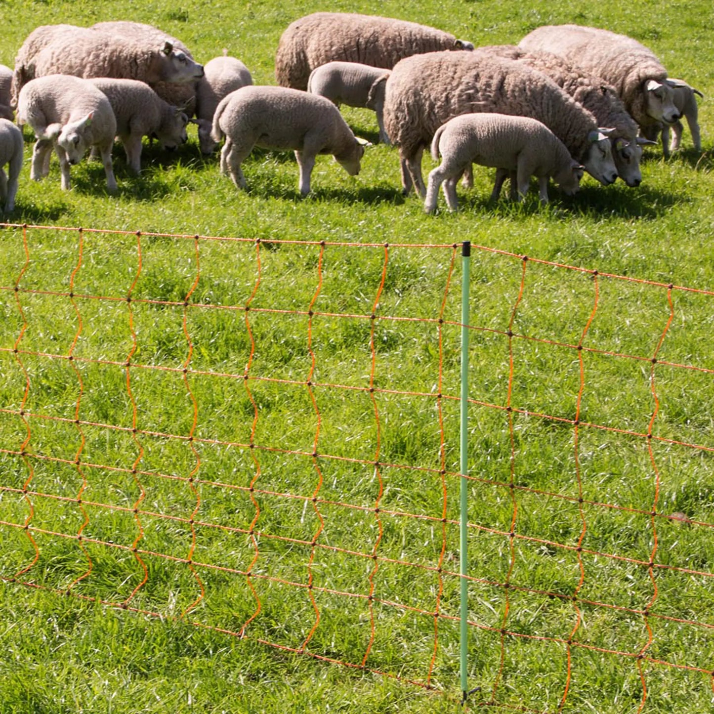 Schafnetz, orange 90/1-14/G-50 m