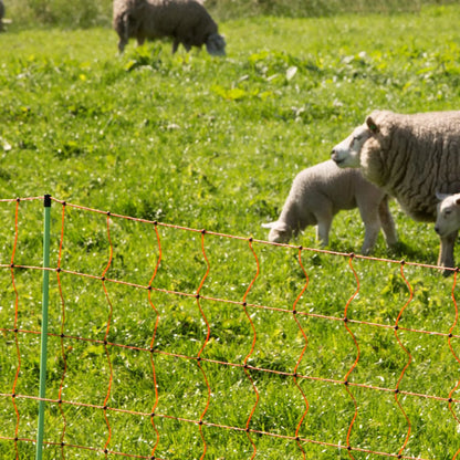 Schafnetz, orange 90/2-14/G-50 m