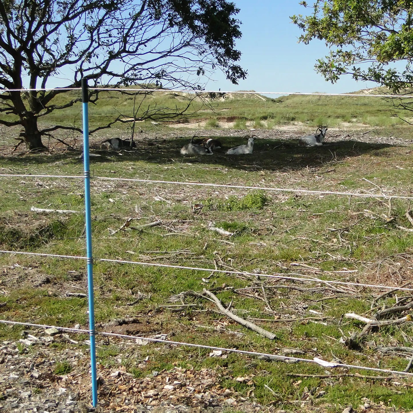 Kunststoffpfahl 10 Stück