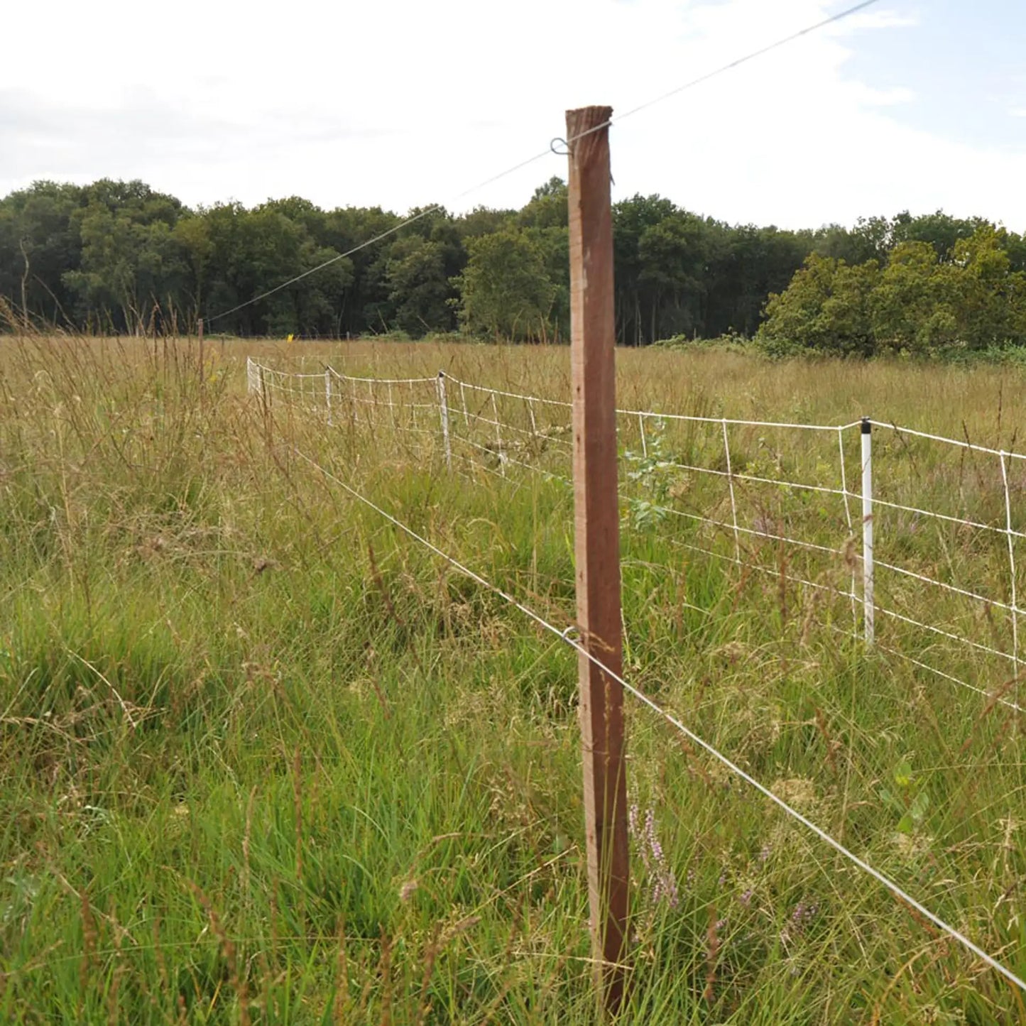 Befestigungs-Splinte Lang für Insultimber/Ecopfahl