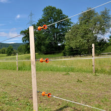 Torgriff-Isolator 2fach 5 Stück