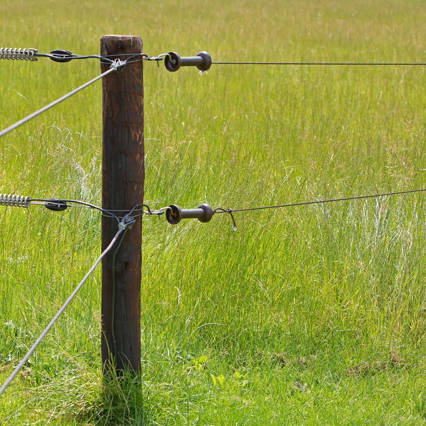 Torgriff-Isolator 2fach 5 Stück