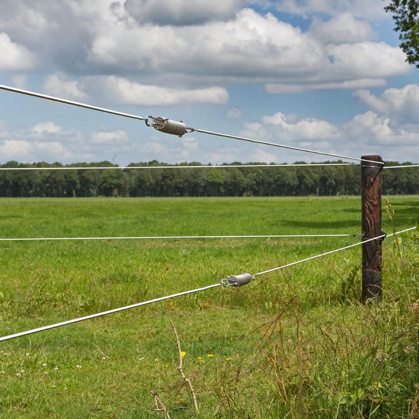 Stahlspannfeder für 2,5 mm / 2,65 mm Draht/EquiFence