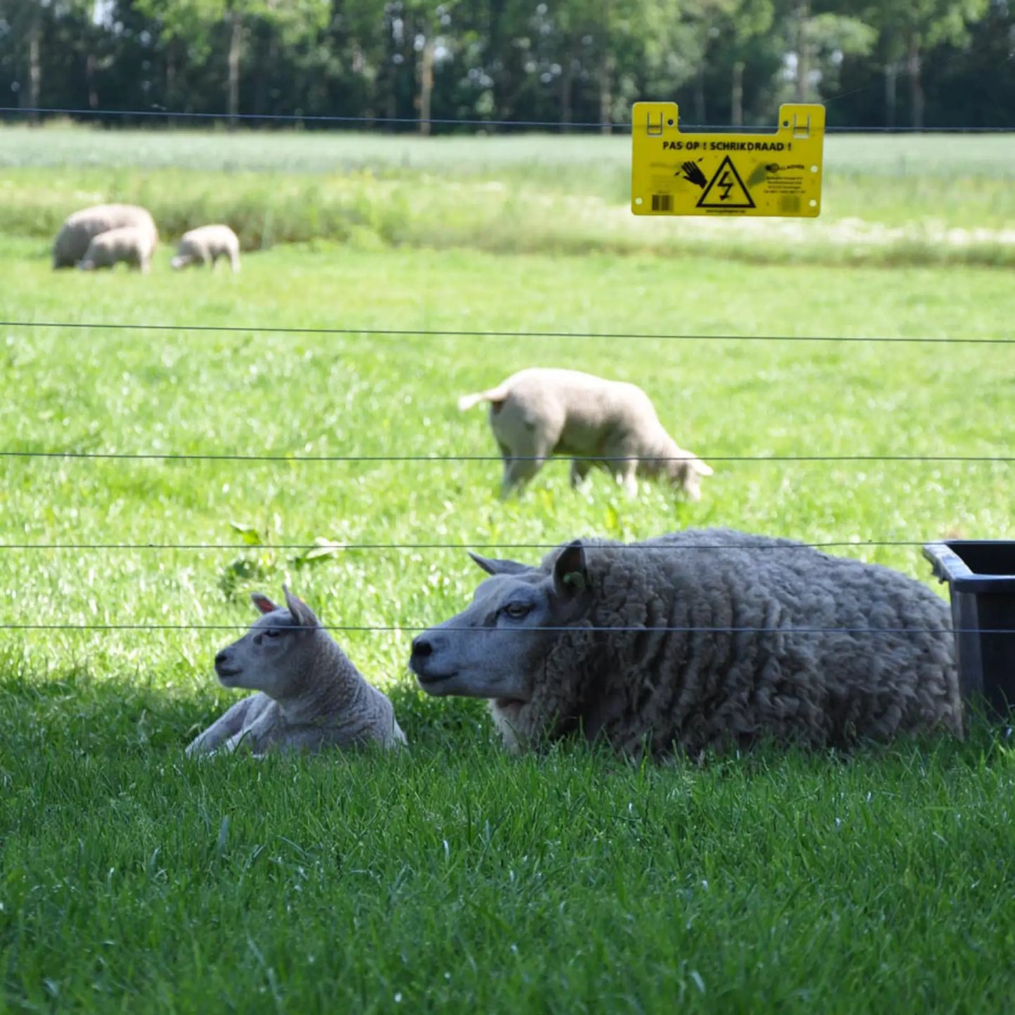 Spezial Stahldraht - 625 m