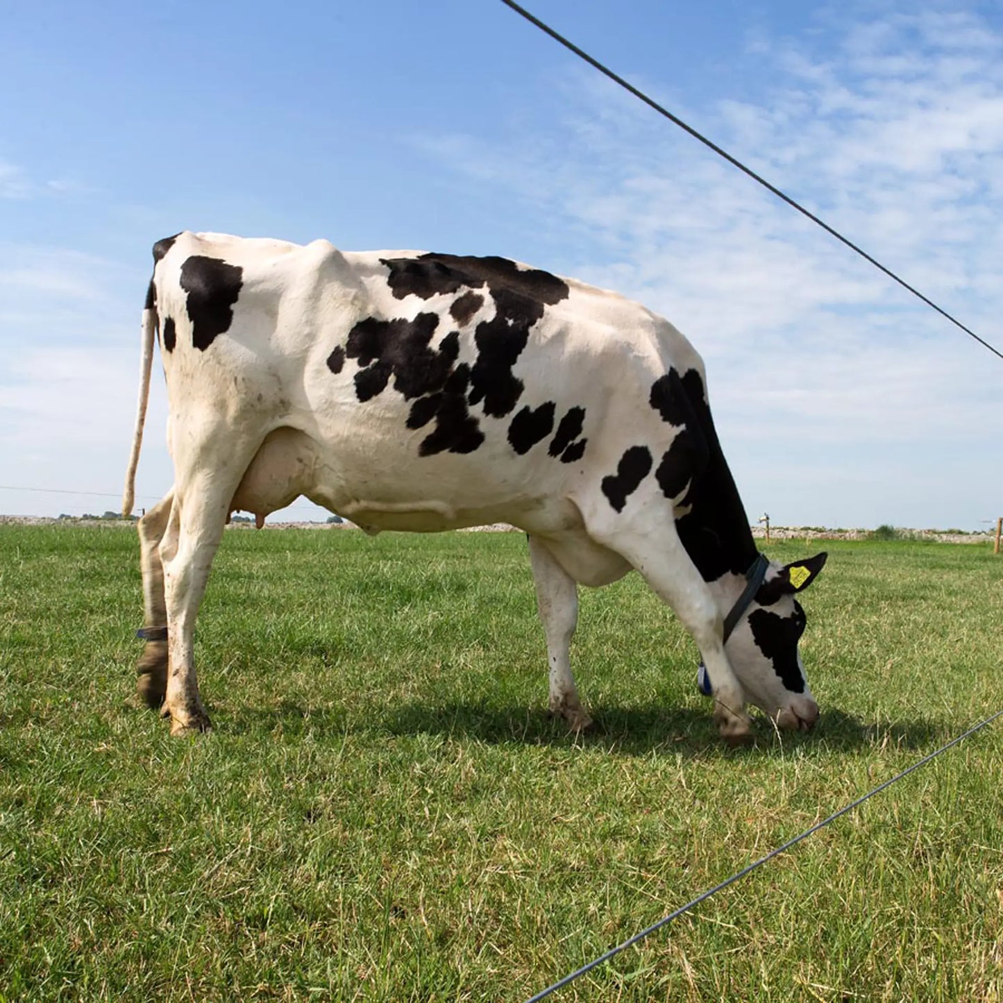 Spezial Stahldraht - 625 m