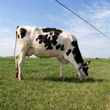 Spezial Stahldraht - 625 m