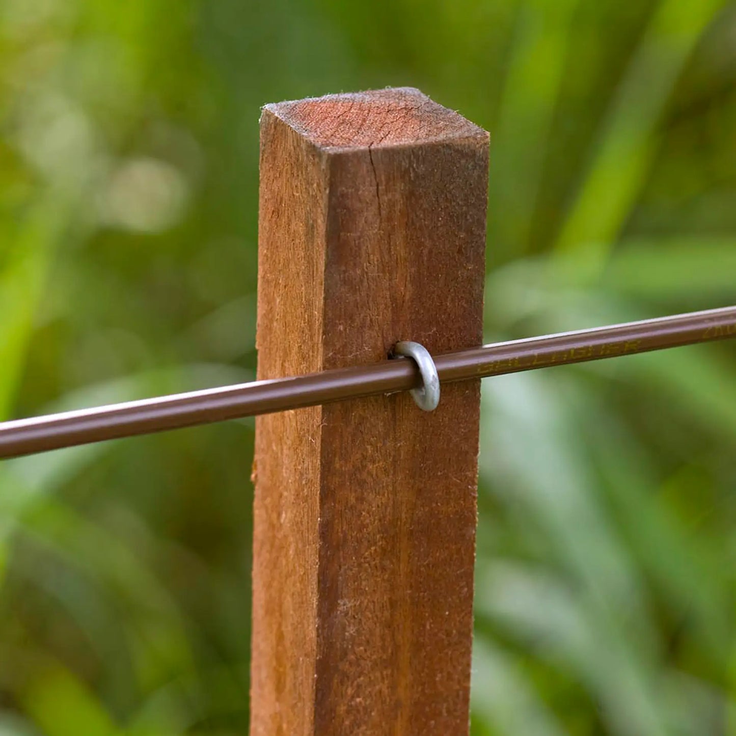 EquiFence 7,5 mm / 2,5 mm - 20 kg - 250 m