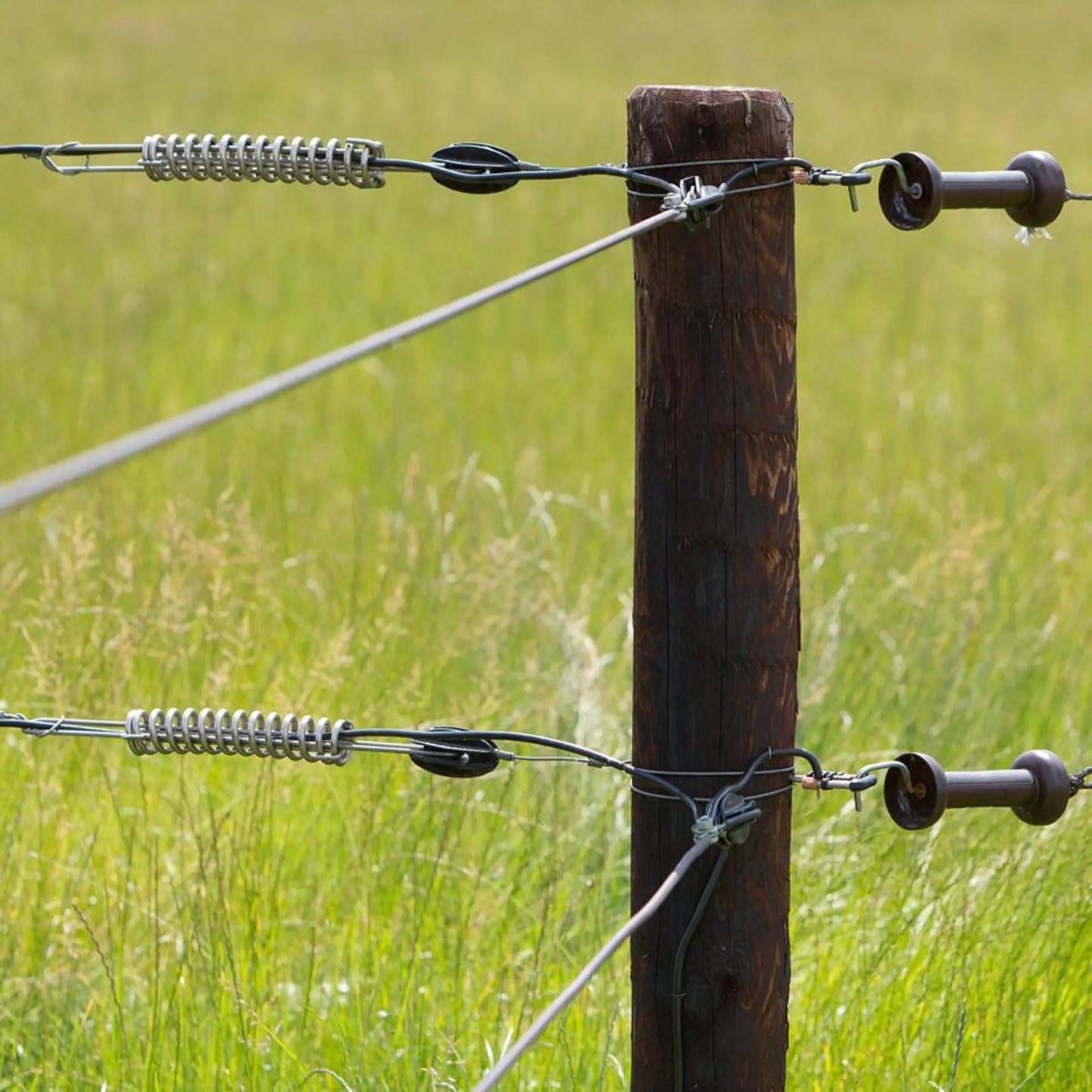 EquiFence 7,5 mm / 2,5 mm - 20 kg - 250 m