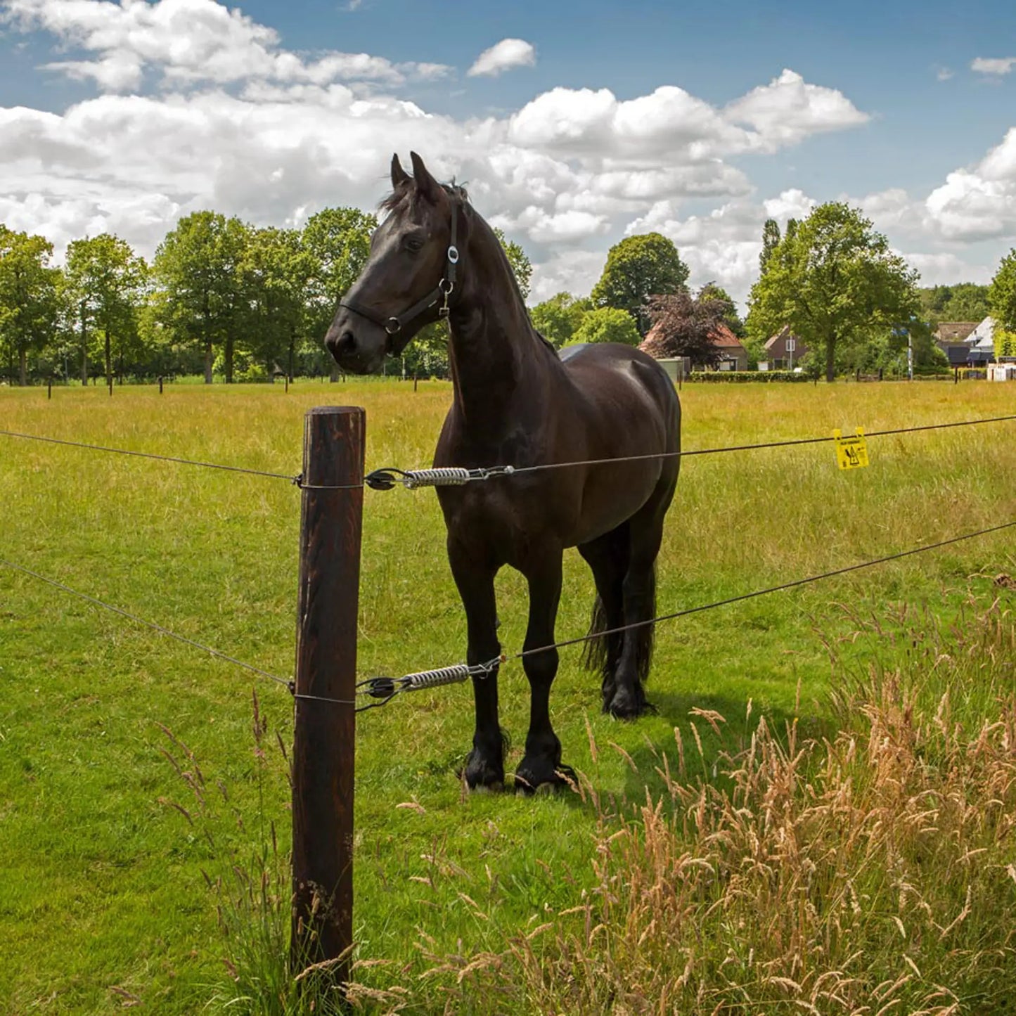 EquiFence 7,5 mm / 2,5 mm - 20 kg - 250 m