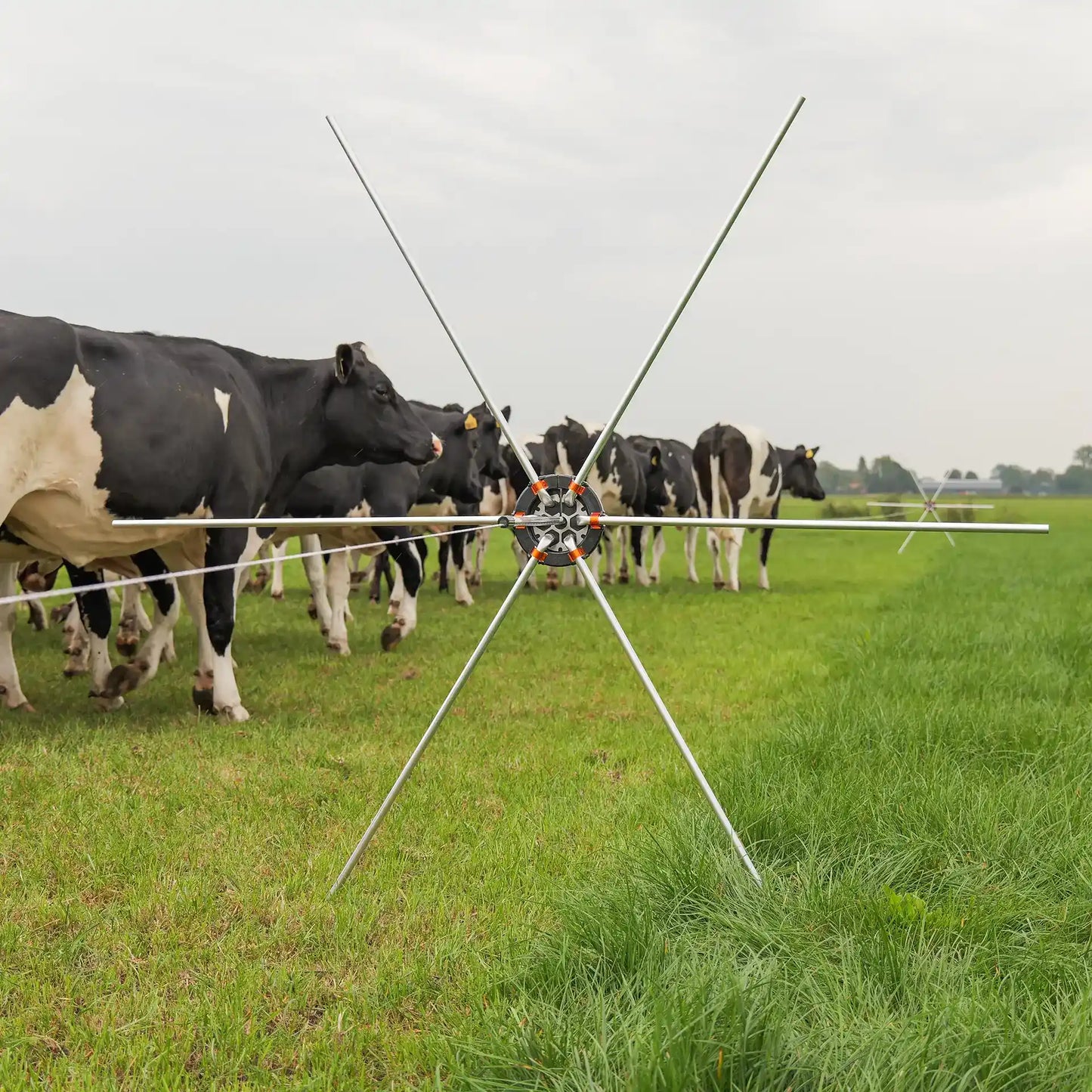 Gallagher Zaunspinne 5 Stück