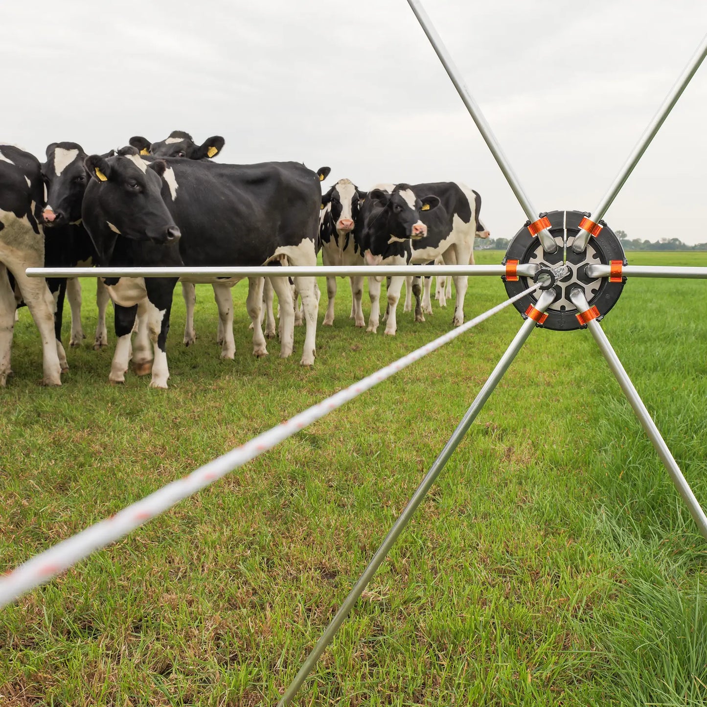 Gallagher Zaunspinne 5 Stück
