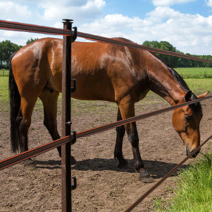 TurboLine Breitband 20 mm 200 m