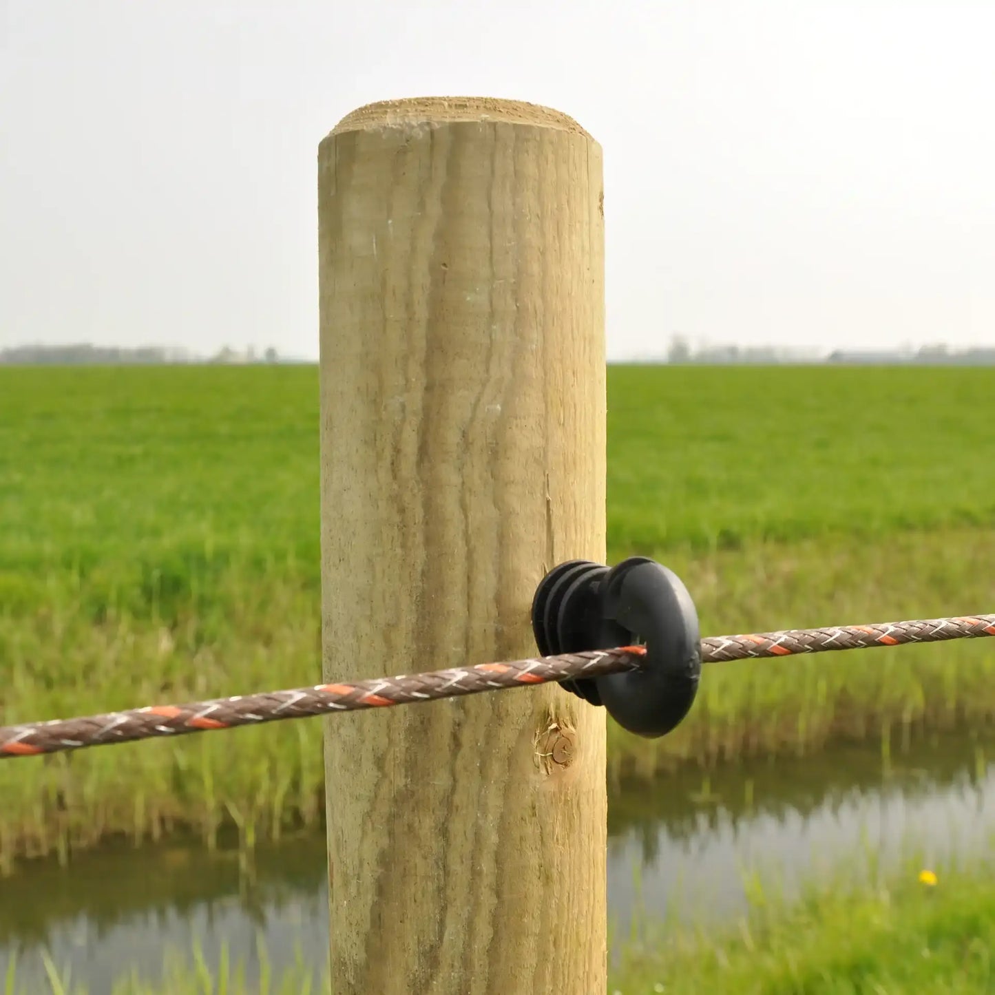 Ringisolator Economy 75 Stück