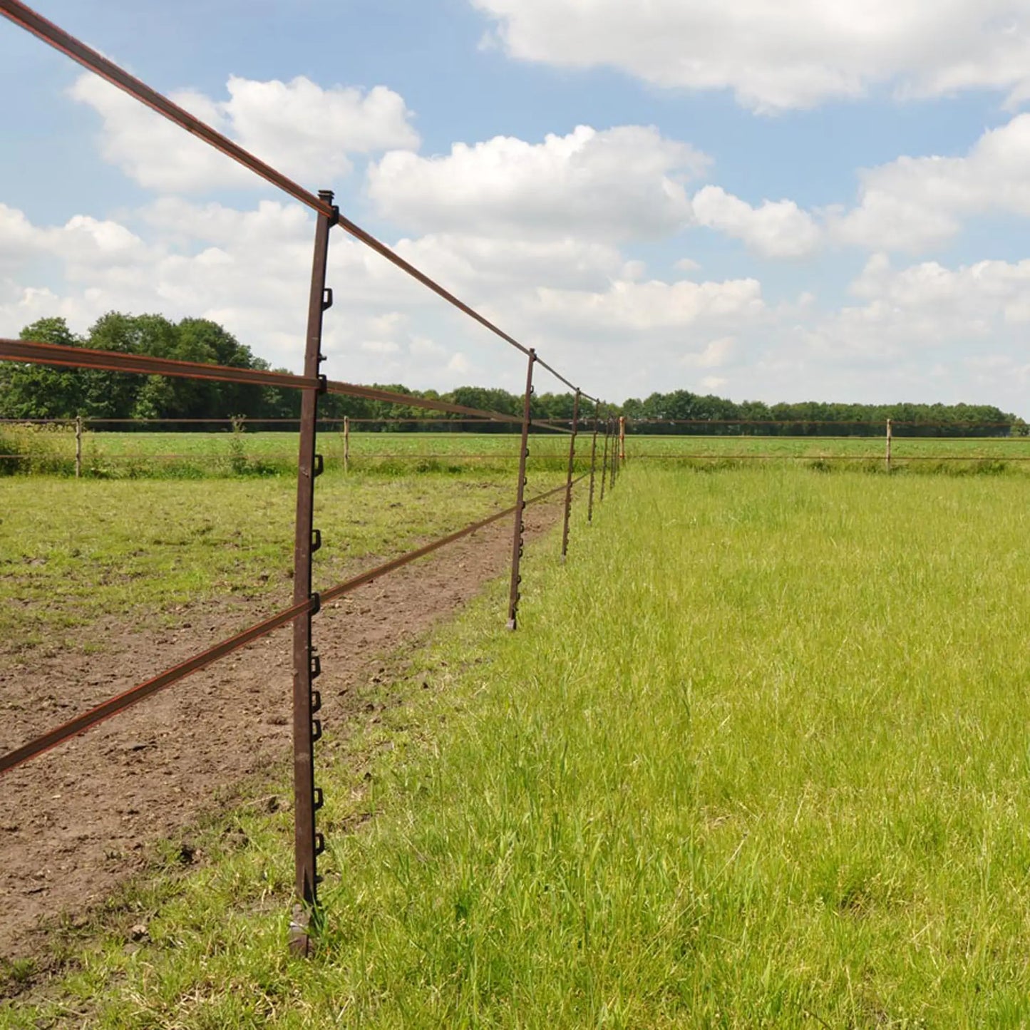 Duopack Steigbügelpfahl 2x5 Stück