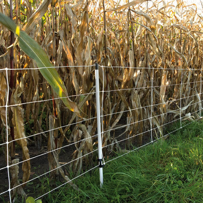 Wildschwein Netz, 75/1-14/W-50 m