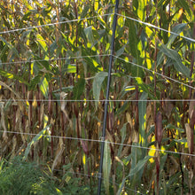 Edelstahlclip für Kunststoffpfahl 19 mm 25 Stück