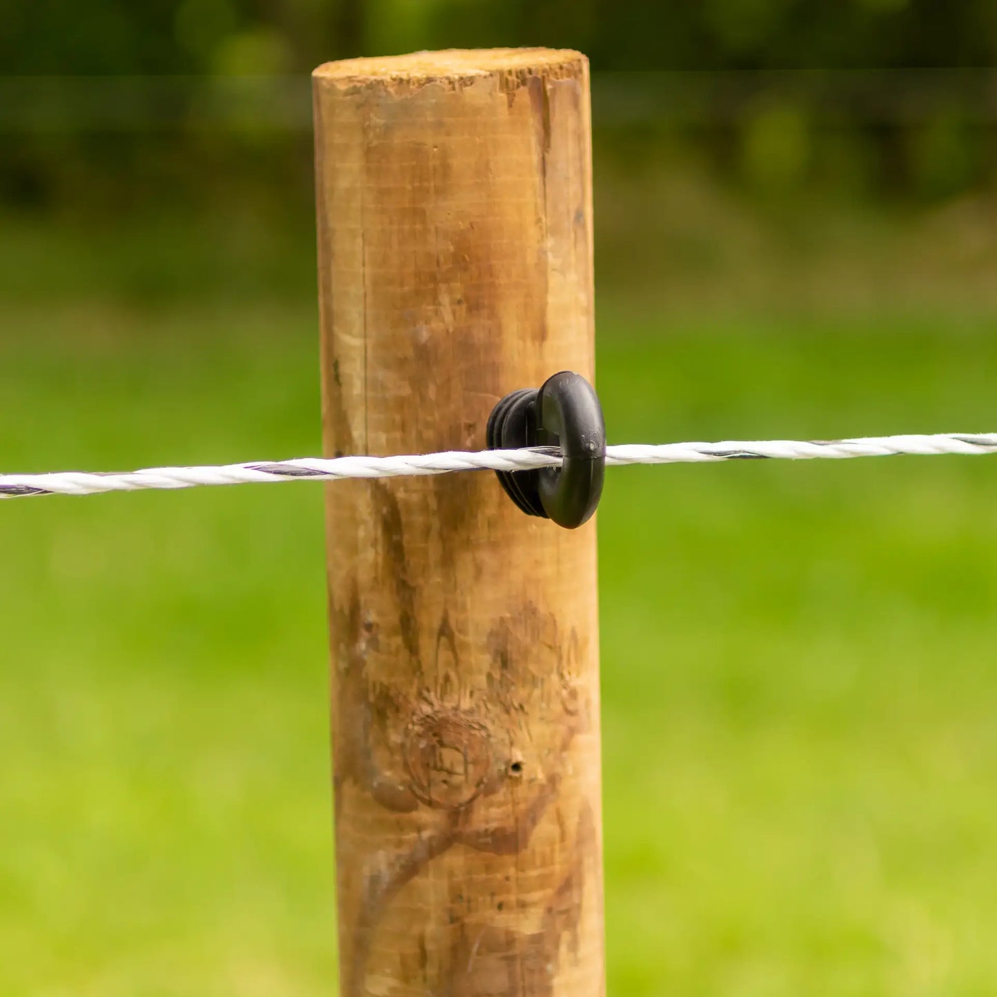 EconomyLine Cord ECO