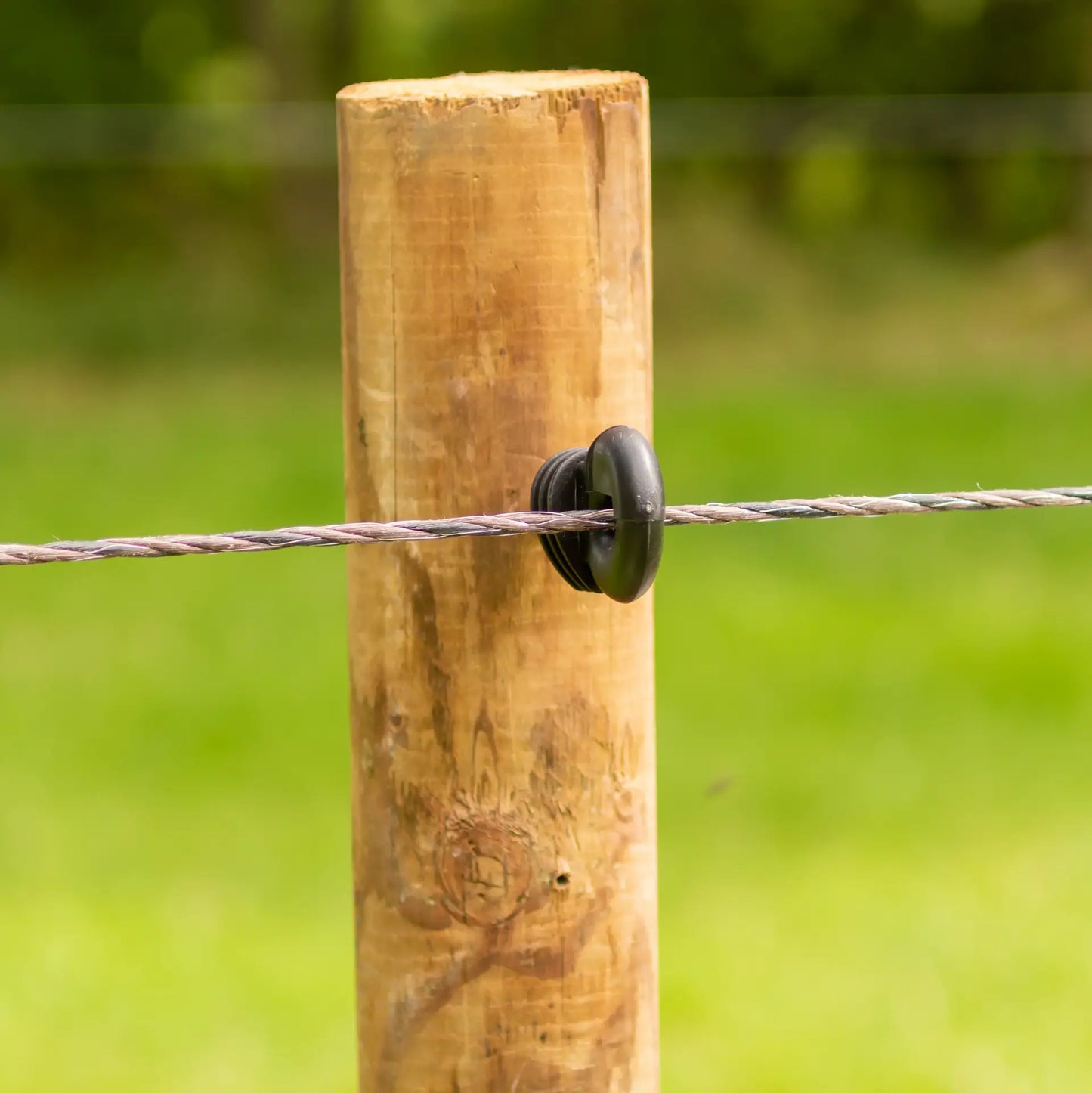 EconomyLine Cord ECO