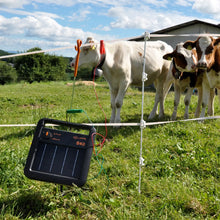 Mehrdraht Quattro Pfahl 1,00 m 10 Stück