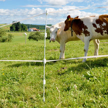 Mehrdraht Quattro Pfahl 1,00 m 10 Stück