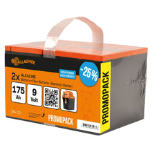 Duopack Alkaline Batterie 2x 9V/175Ah - 190 x 125 x 160 mm