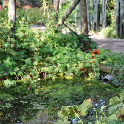 Vidoflex 9 TurboLine Plus